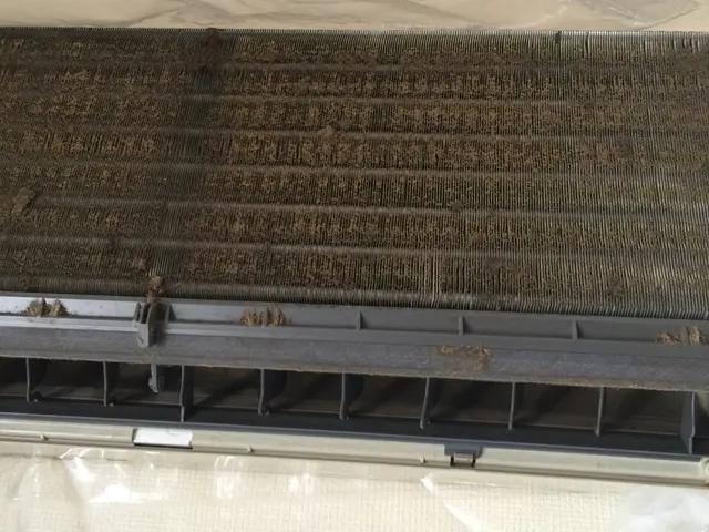 【光触媒施工店】選べるお子様特典、口に入れても安全な天然洗剤北九州市下関市近郊サービスの画像