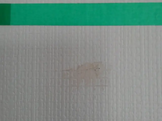 高い技術力と丁寧な対応を心がけております！環境に優しい洗剤で仕上げます。サービスの画像