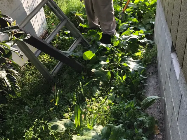 処分不用のハンマーナイフでの施工も可能です。サービスの画像