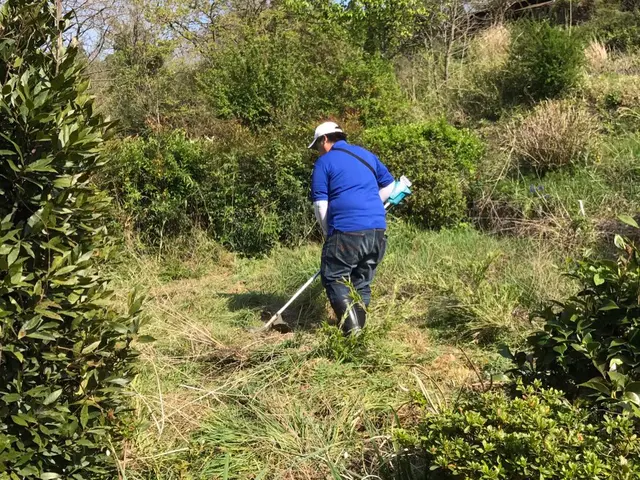 処分不用のハンマーナイフでの施工も可能です。サービスの画像