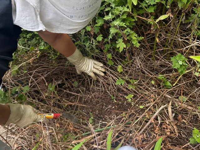 【当日予約可能】今の時期だからこそ！お庭を綺麗に！頑張りの限定価格ᕦ(¥_¥ˇ)サービスの画像