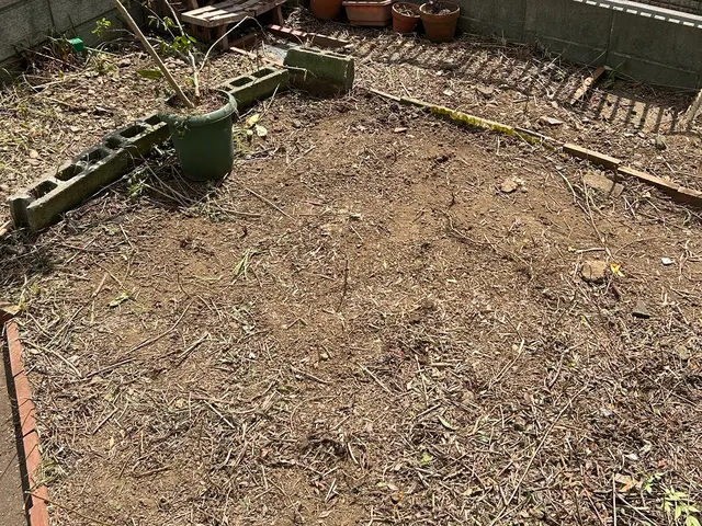 【当日予約可能】今の時期だからこそ！お庭を綺麗に！頑張りの限定価格ᕦ(¥_¥ˇ)サービスの画像