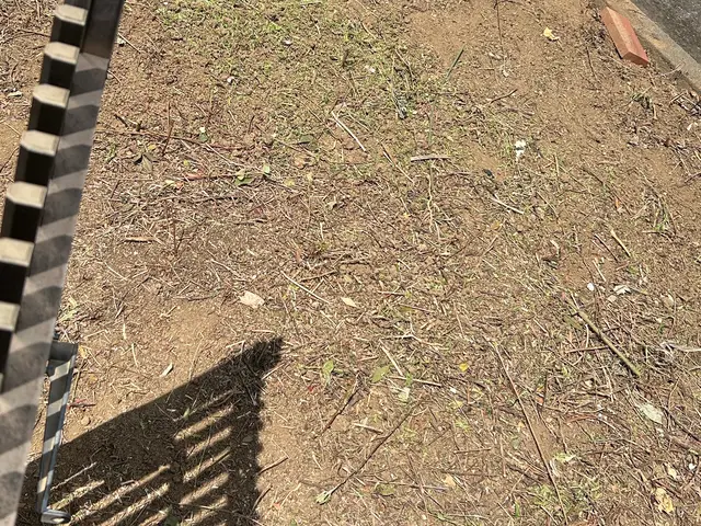 【当日予約可能】今の時期だからこそ！お庭を綺麗に！頑張りの限定価格ᕦ(¥_¥ˇ)サービスの画像