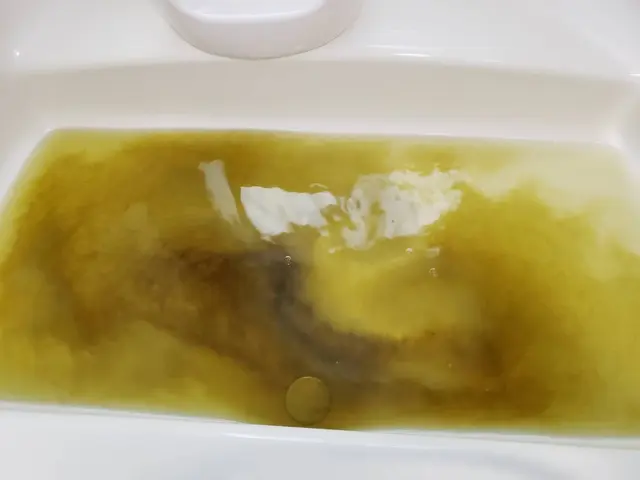 ★配管内の見えない汚れをしっかり除菌洗浄★配管内リフレッシュ！快適なバスタイムをサービスの画像