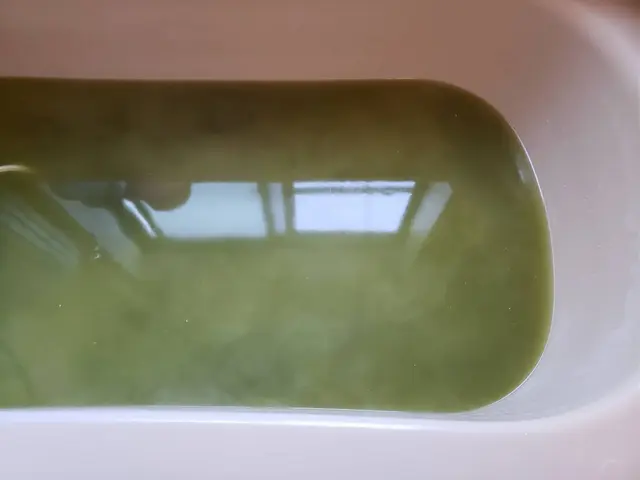 ★配管内の見えない汚れをしっかり除菌洗浄★配管内リフレッシュ！快適なバスタイムをサービスの画像