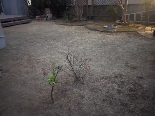 【地域密着店】迅速ていねいに仕上げます！アフターフォローも万全サービスの画像