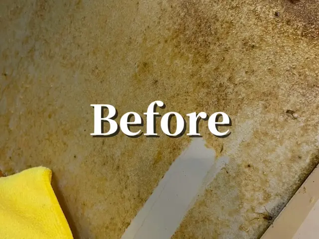 【出店セール!! ¥13500→¥12000】☆年中無休☆頑固な油汚れをピカピカサービスの画像