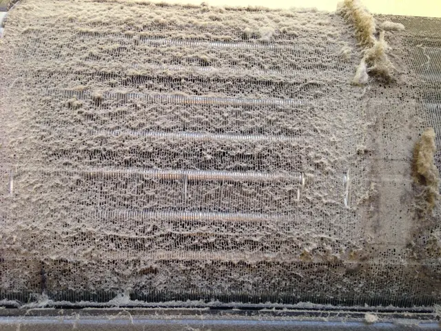 当店を初めてご利用の方限定です！PayPay利用可能！損保加入！サービスの画像