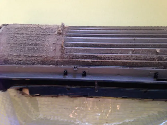 当店を初めてご利用の方限定です！PayPay利用可能！損保加入！サービスの画像