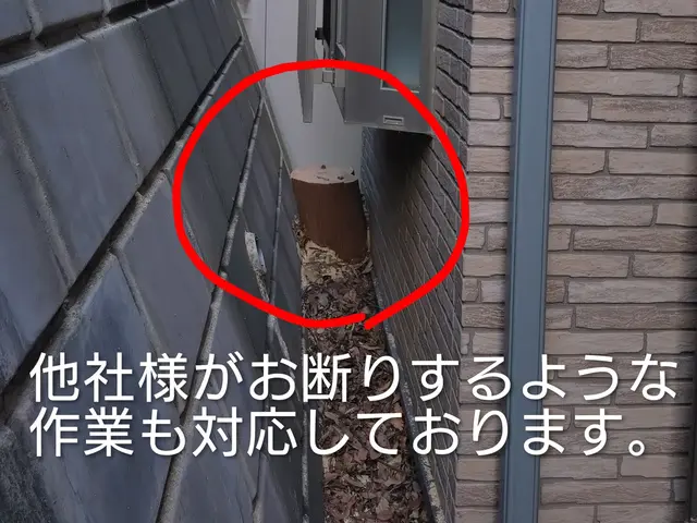 植木屋ふくちゃん　「1本だけ〜10m以上の高木・狭い所もOKです！」サービスの画像