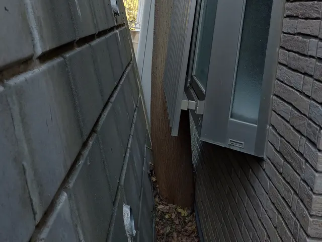 植木屋ふくちゃん　「1本だけ〜10m以上の高木・狭い所もOKです！」サービスの画像