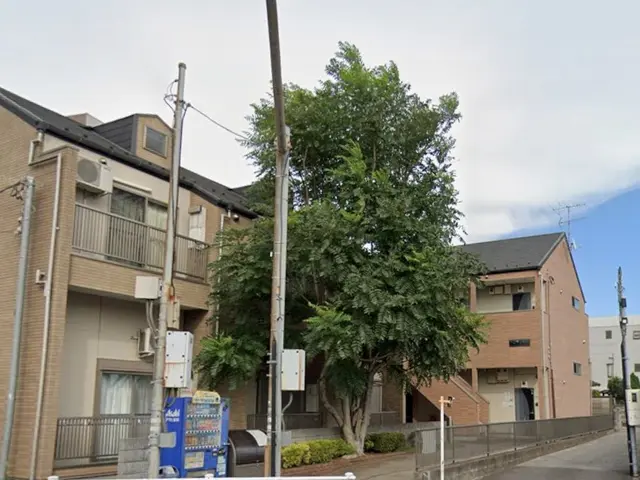 植木屋ふくちゃん　「1本だけ〜10m以上の高木・狭い所もOKです！」サービスの画像