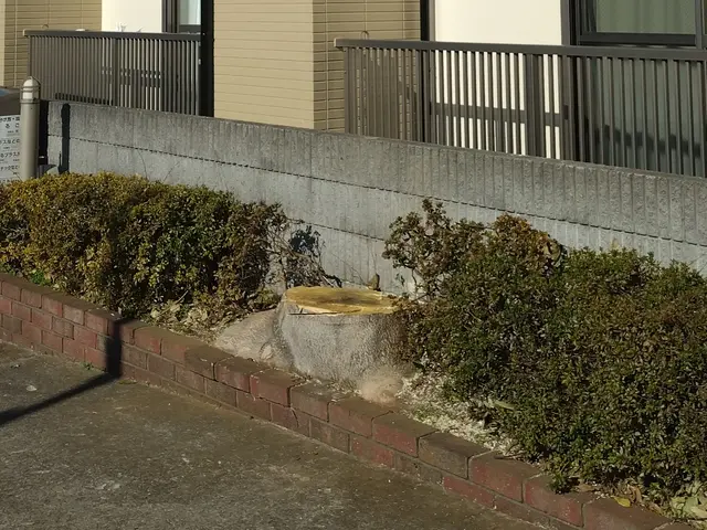 植木屋ふくちゃん　「1本だけ〜10m以上の高木・狭い所もOKです！」サービスの画像