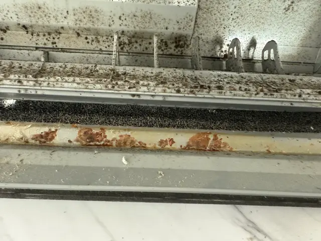 綺麗を約束します！お掃除機能付きエアコンのクリーニングもお任せください！サービスの画像