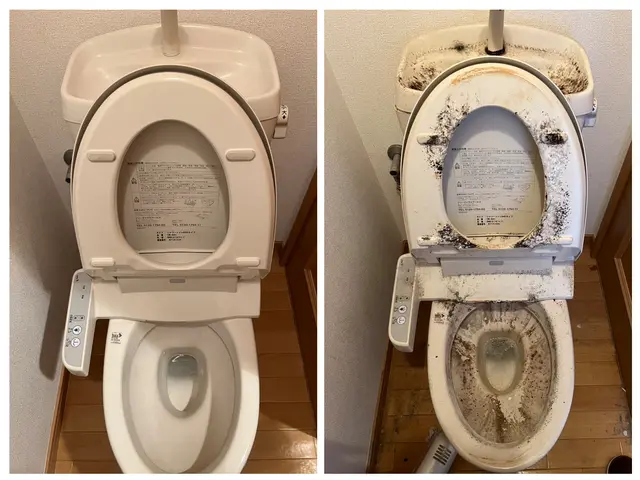 女性スタッフ在籍★年中無休★早朝深夜も対応OK★迅速丁寧に対応しますサービスの画像