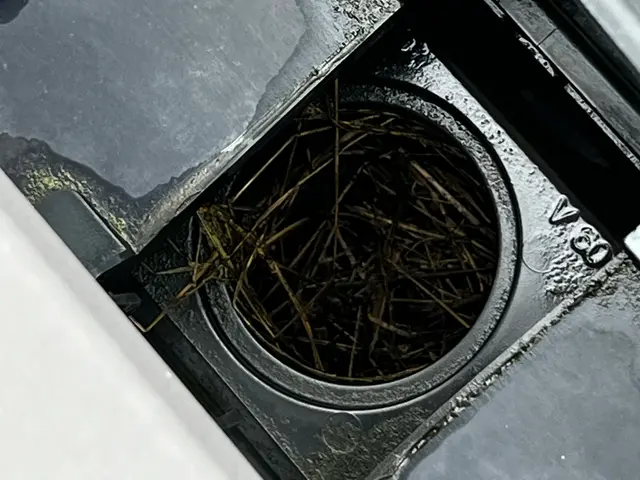 プロの技術でご満足いただけるように心を込めて作業いたしますサービスの画像