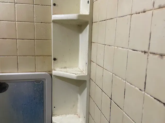 親切　丁寧　真面目に作業します。お一人暮らしの女性方にも安心にご利用頂けます。サービスの画像