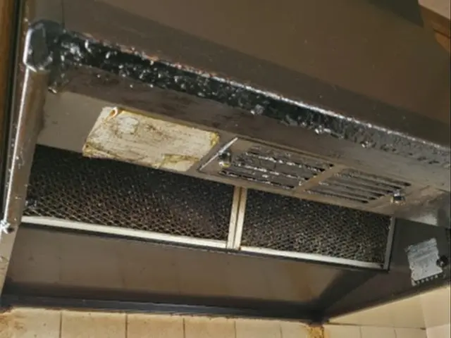 【岩手エリア】油汚れ専用強力洗剤使用！プロの技術で徹底的に油汚れを落とす。サービスの画像