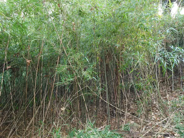 【業歴10年以上の実績】予約から作業まで完全自社対応◎アフターフォロー万全サービスの画像