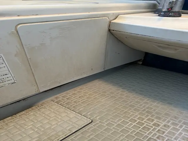 【今なら防カビコーティング無料】クリーニングはプロにお任せくださいサービスの画像