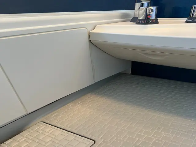 【今なら防カビコーティング無料】クリーニングはプロにお任せくださいサービスの画像