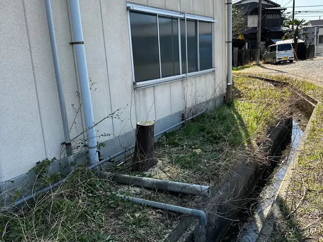 【損害保険加入済】女性スタッフの同行可能◎20〜30mの木も伐採可能サービスの画像