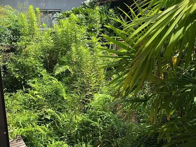 【業歴10年以上の経験】作業外注なし！仕上がり保証あり！お任せください！サービスの画像