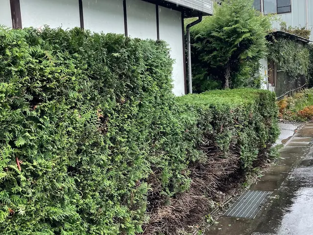 弱剪定から強剪定まで！お庭全体のご相談お待ちしてます！サービスの画像