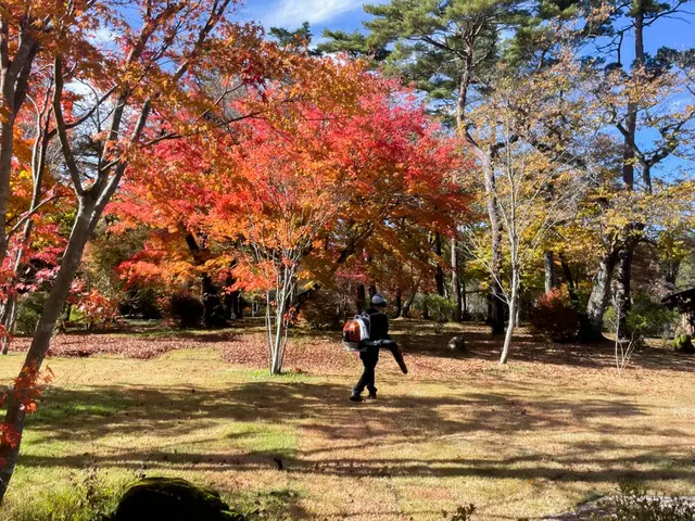 別荘・空き家の落ち葉清掃はリバースウッドへ！雨樋清掃・冬前点検もまとめて対応サービスの画像