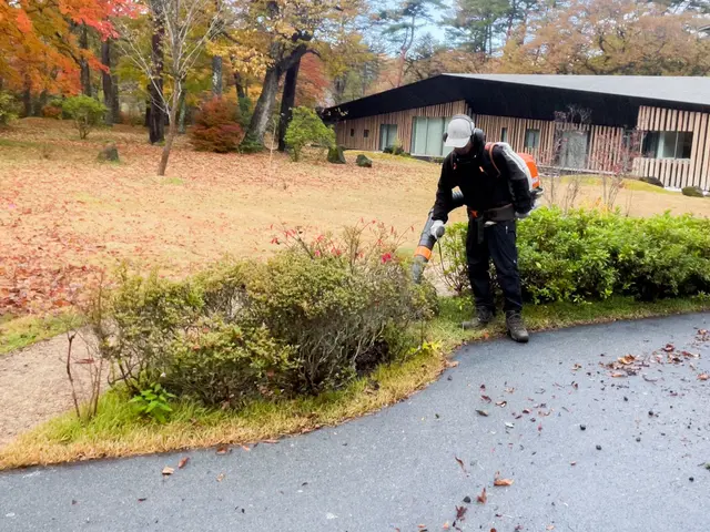 別荘・空き家の落ち葉清掃はリバースウッドへ！雨樋清掃・冬前点検もまとめて対応サービスの画像