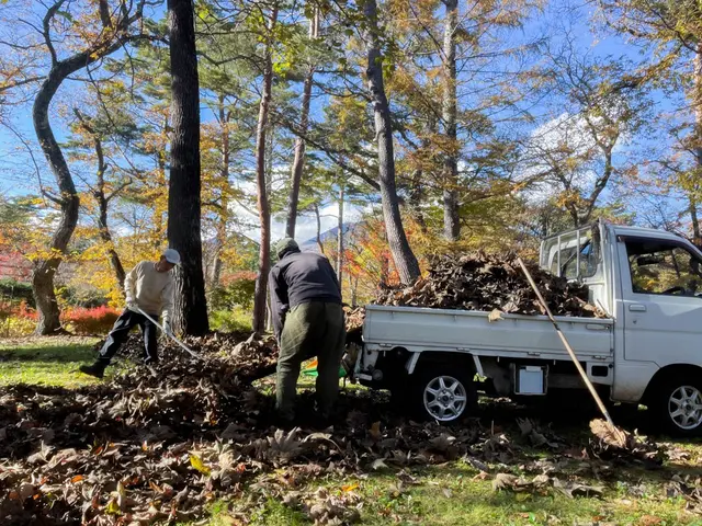 別荘・空き家の落ち葉清掃はリバースウッドへ！雨樋清掃・冬前点検もまとめて対応サービスの画像