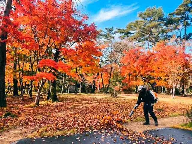 別荘・空き家の落ち葉清掃はリバースウッドへ！雨樋清掃・冬前点検もまとめて対応サービスの画像