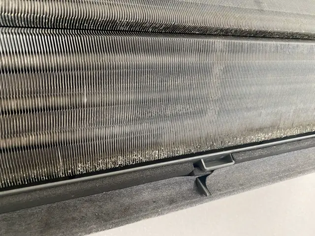 汚れ、カビ、匂いしっかり除去します。サービスの画像