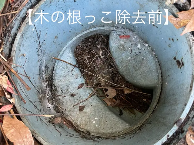 安心の店長訪問！経験豊富な10年・1.000件以上の排水管洗浄サービスの画像