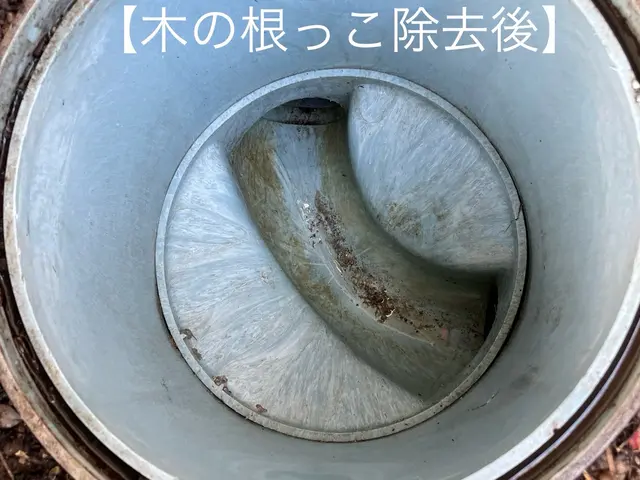 安心の店長訪問！経験豊富な10年・1.000件以上の排水管洗浄サービスの画像