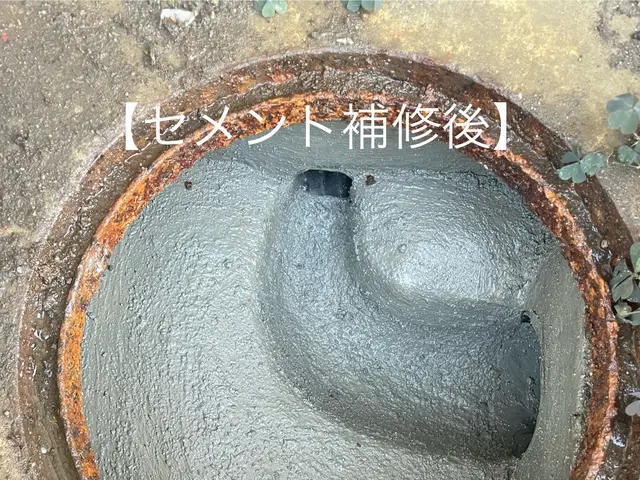 安心の店長訪問！経験豊富な10年・1.000件以上の排水管洗浄サービスの画像