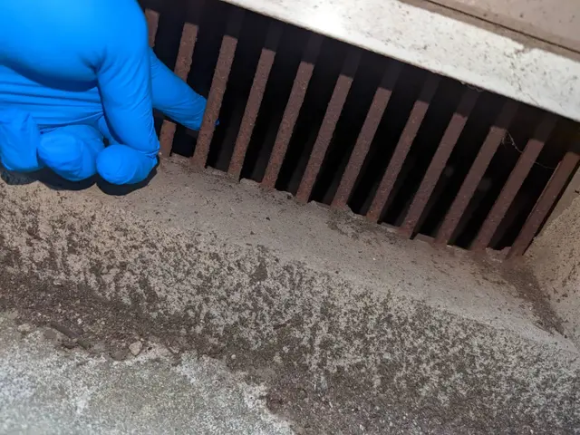 経験と実績があります。プロにお任せ下さいサービスの画像