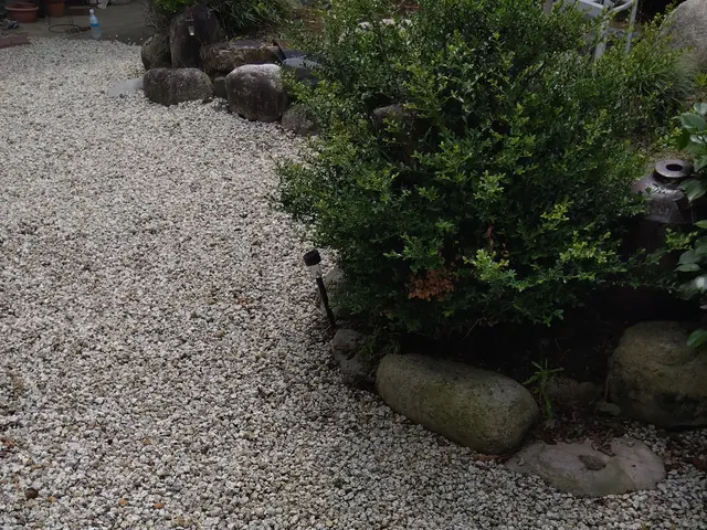 損害保険加入済み◎豊富な経験と知識で安心！何でも当店へお任せください！サービスの画像