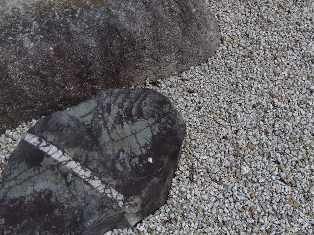 損害保険加入済み◎豊富な経験と知識で安心！何でも当店へお任せください！サービスの画像