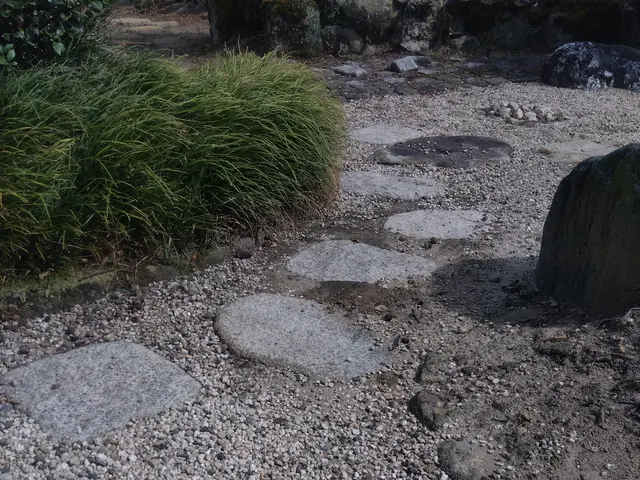 損害保険加入済み◎豊富な経験と知識で安心！何でも当店へお任せください！サービスの画像