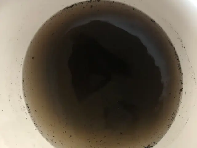 【岐阜市発】新規出店キャンペーン中！　さらに複数台おまとめ割引も実施‼︎サービスの画像