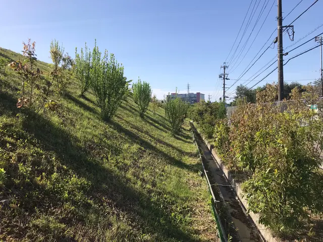 《365日対応◎損害保険加入あり》営業時間外・対応地域外でもご要望お聞きします！サービスの画像