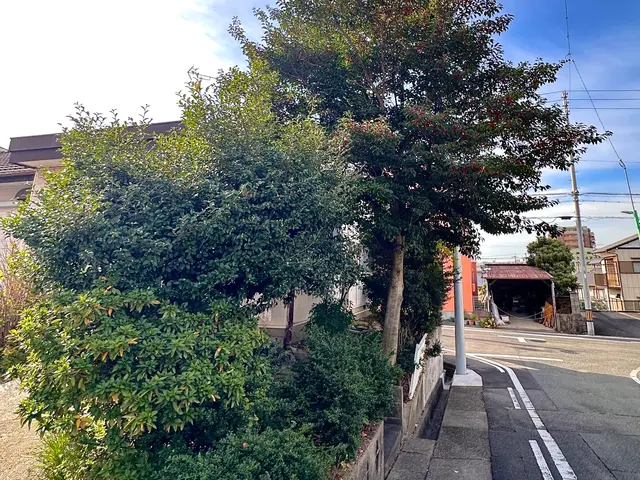 スピードよりも丁寧さ重視。1本からでも喜んでお受けいたしますサービスの画像