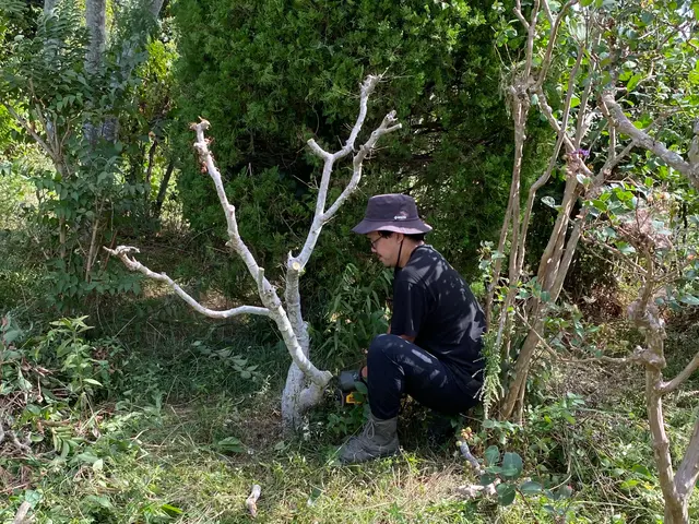 スピードよりも丁寧さ重視。1本からでも喜んでお受けいたしますサービスの画像