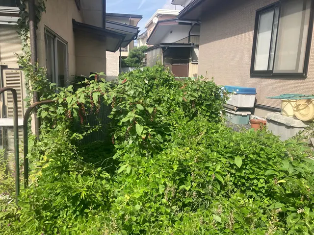 【安心低価格】お庭の草刈りはプロにお任せください！サービスの画像