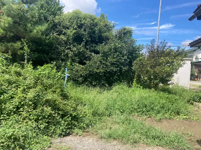 【安心低価格】お庭の草刈りはプロにお任せください！サービスの画像