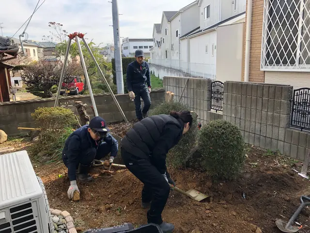 草むしり（手作業）サービスの画像