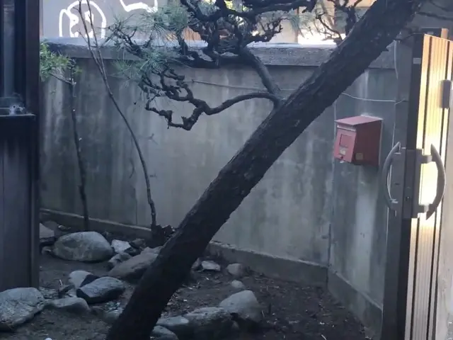 草むしり（手作業）サービスの画像