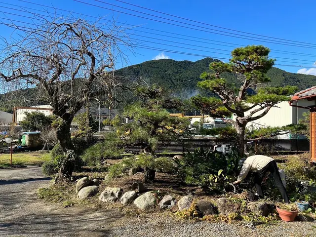 丁寧・迅速・リーズナブル！プロの庭木お手入れサービスの画像