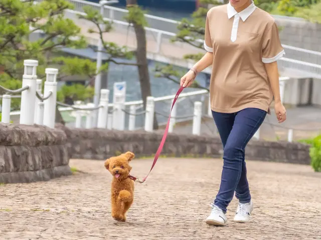 ペットシッター歴7年/獣医師、動物看護師在籍/連携病院有り/事前カウンセリングサービスの画像